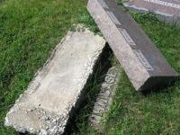 Chicago Ghost Hunters Group investigates Calvary Cemetery (100).JPG